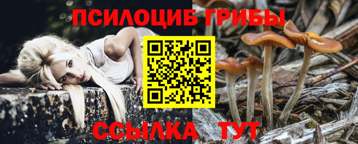 Псилоцибиновые грибы Cubensis  Вход с VPN  где купить   Рыбинск 